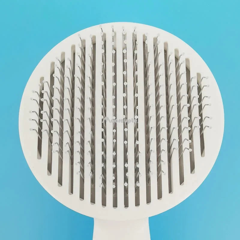 Brosse autonettoyante anti-mue